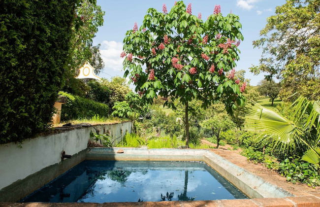 Wine Country Home in Alentejo - Foto 21
