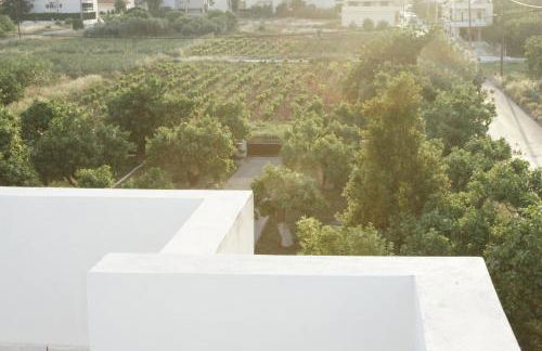 Sunny Studio - Foto 22