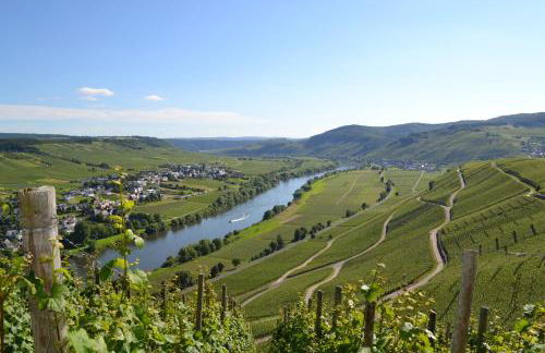 Gästehaus Weingut Mathy-Schanz - Foto 31