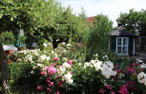 "Rosenkate 2" - Foto 23