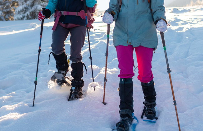 Paseo con raquetas de nieve por Banff - Foto 1