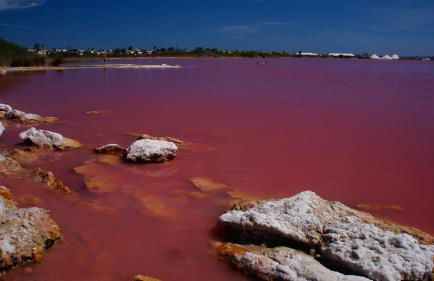 Casa SK Santa Rosalia - Photo 58