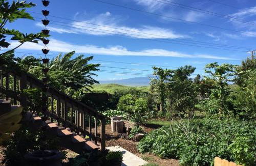 Garden Oasis at Banana Hale Studio - Foto 24