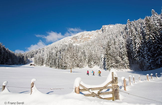 Apartment With 3 Private Terraces - Foto 14