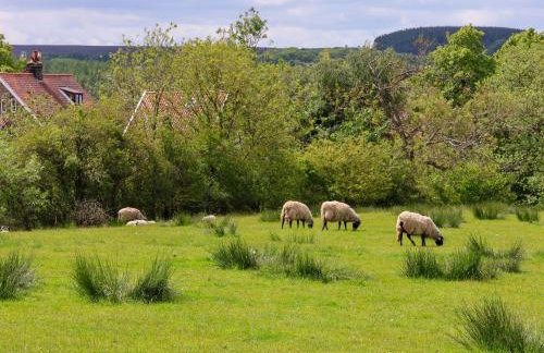 The Grange - Foto 30