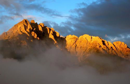 Kerschbaumhof - Foto 10