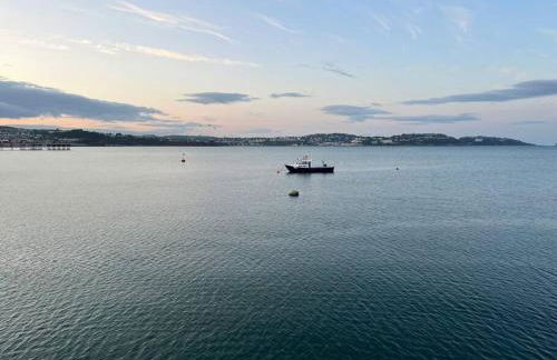 Josh's Place near Paignton beach - Foto 38