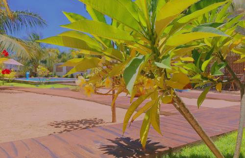 Condomínio Shalom Beach - Photo 27