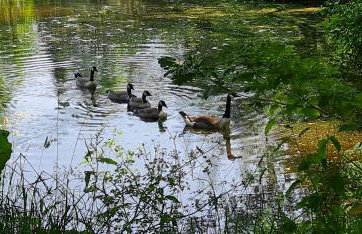 Brookhouse Grange - Foto 36