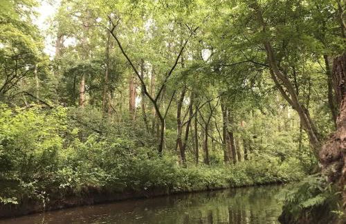 Ferienwohnung auf dem Gemüsehof an der Spree - Foto 12