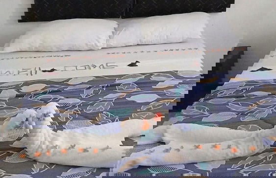 Town House Apartment Hotels Suva - Foto 15