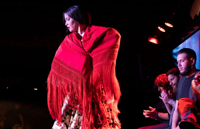 Show en el Tablao Flamenco 1911 - Foto 1