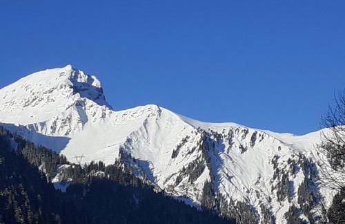 studio cabine Chatel - Foto 8