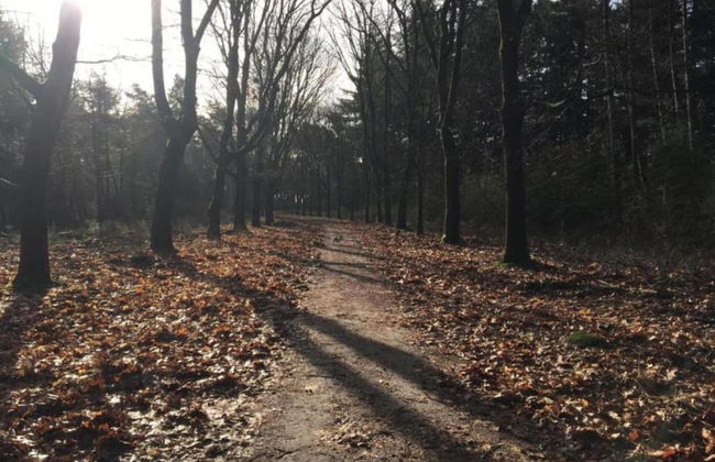 Cottage in Leenderbos Near Nature Reserve - Photo 24