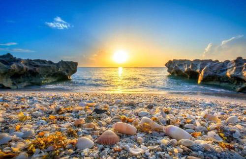 Gardens Getaway - A Family Retreat - Foto 55