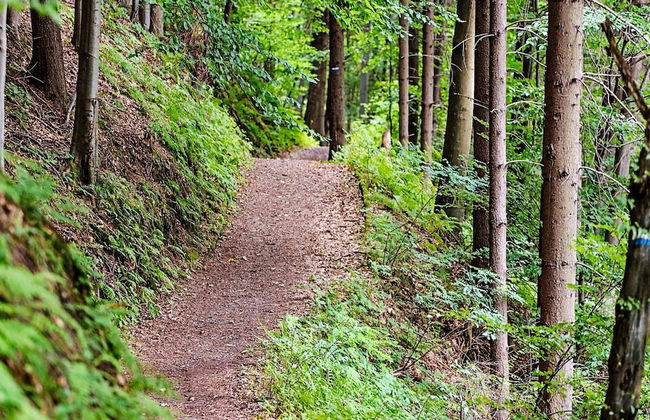 4 Person Holiday Home in Solvesborg-by Traum - Photo 28