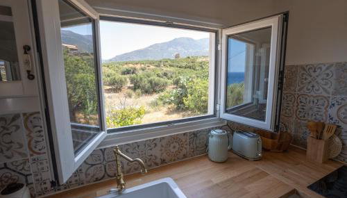 Tranquility House - Foto 4