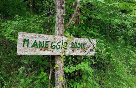 Villa Rico Masseria nel Parco - Photo 36