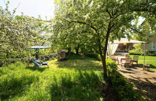 Loft in alter Schule - Foto 22