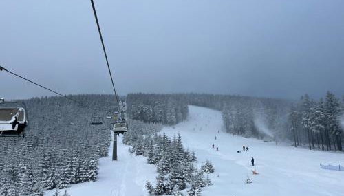 Lasóweczka - Foto 2