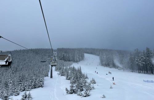 Lasóweczka - Foto 2