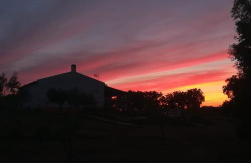 Monte Quinta Verde - Foto 31