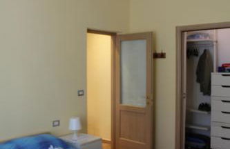 i tulipani - Foto 65