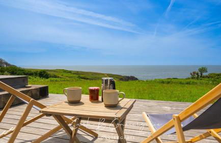 Vue imprenable exceptionnelle sur l'océan pour cette résidence haut de gamme avec piano DOELAN - Foto 26