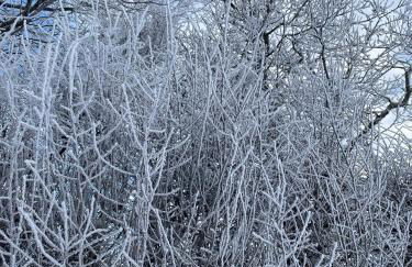 Stewards Granary - Foto 59