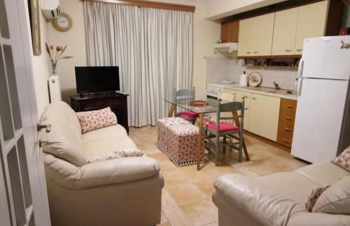 Παραθαλάσσιο διαμέρισμα με κήπο στον Αγιόκαμπο - Foto 14