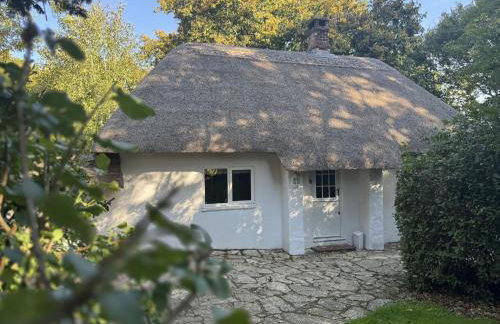 The Lookout - Foto 2