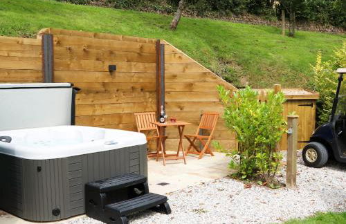 Little Silver Pheasant - Foto 6