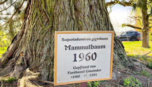 Bergchalet Mirabell - Hofgut - Foto 3