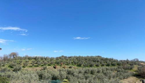 Maeva Apartment - Foto 2