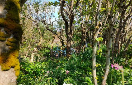 Stromness Apartments - Photo 15