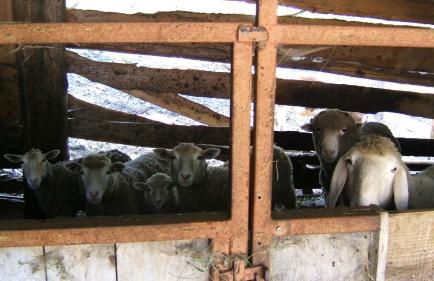 Agriturismo Prati Oitzinger - Foto 23