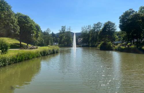 Haus Schmitten - Foto 31