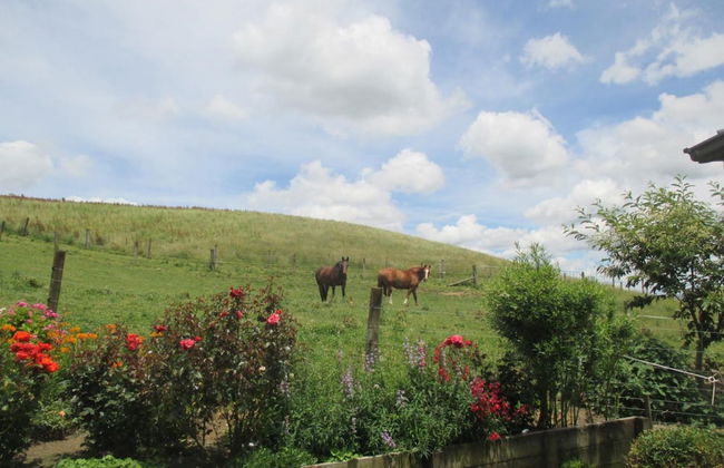 Kauri Lodge Karapiro - Foto 28