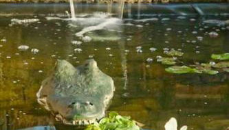 New Kid in Town - King Bed & Sofa Bed - Sleeps 2-4 - Foto 5