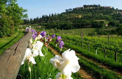 Agriturismo Nobile - Photo 80