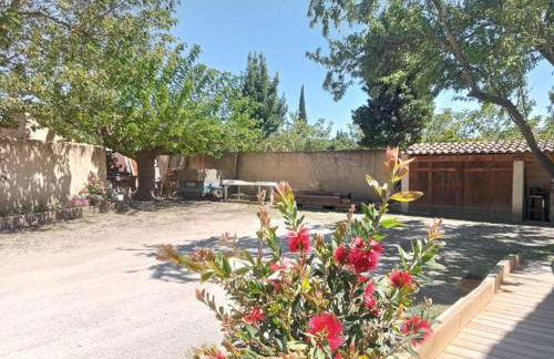 Le mas de la joëlette - Foto 25