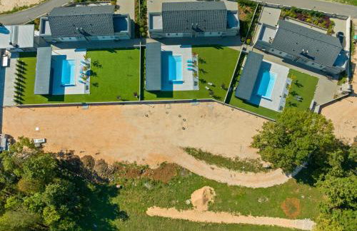 Degenia Velebitica - Photo 58