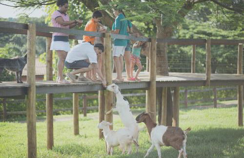 Hotel Fazenda Areia que Canta - Foto 28