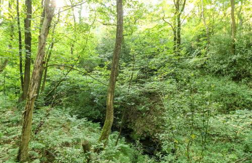 The Barn at Catacol - Foto 30