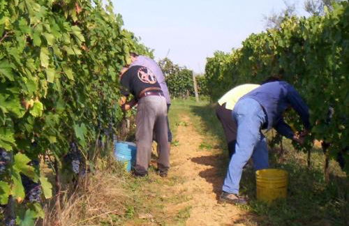 Apartment Anwesen mit Gemeinschaftspool by Interhome - Foto 36