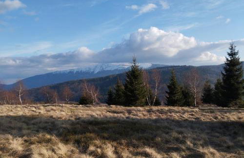 Przystanek Bystra - Foto 24