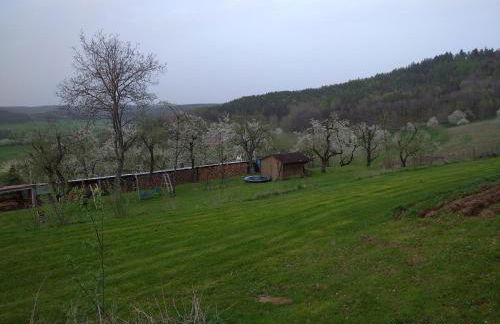 FEWO Adelhardt Harald - Foto 9