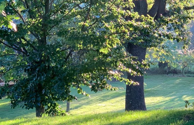 Bio & B Italyke - Foto 30