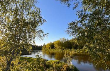 Woodland - dom z sauną i balią - Foto 43