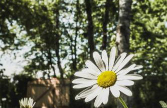 Ferienwohnung Tausendfreund am Chiemsee - Foto 17